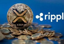 ريبل تستحوذ على محفظة باليساد الرقمية لتوسيع نطاق أعمال الدفع للمؤسسات