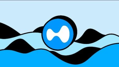 مضارب يُصفى بقيمة 168 مليون دولار بعد مراهنته الخاسرة على هبوط العملات الرقمية