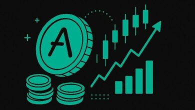 آفي في وضع مثالي للاستفادة من خفض الفائدة الأمريكي مع توسع فرص العائد في التمويل اللامركزي (DeFi)