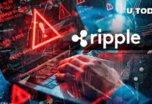 ريبل تحذر من عمليات احتيال جديدة مستهدفة المستثمرين