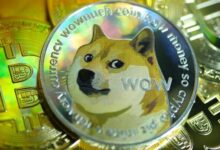 سعر الدوجكوين قد يتجاوز دولاراً واحداً مع تكرار هذا النمط من 2023-2024