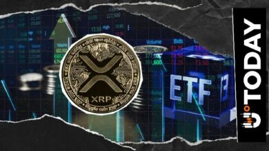 حجم صناديق Canary XRP الاستثمارية يصل إلى 26 مليون دولار في أول 30 دقيقة