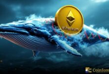 حوت يشترى الإيثيريوم: هل تشتريات العملات الرقمية الضخمة تُعيد الاستقرار إلى الأسعار؟