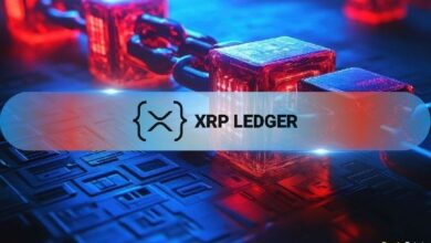 منصة XRP اللامركزية تسجل 954 ألف معاملة وسط ضغوط بيعية على السعر