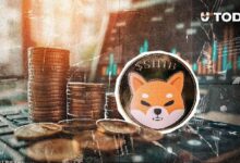 اختفاء قرابة 8 ملايين SHIB بعد أول طلب لصندوق Shiba Inu ETF