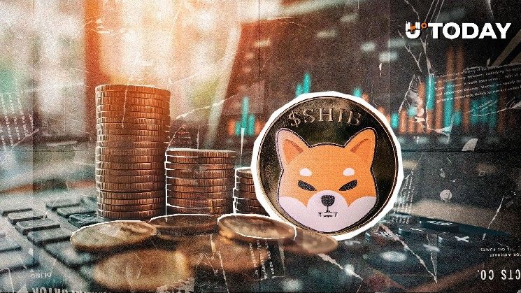 اختفاء قرابة 8 ملايين SHIB بعد أول طلب لصندوق Shiba Inu ETF