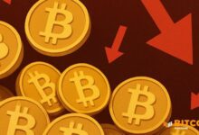 انخفاض سعر البيتكوين إلى 103 ألف دولار مع إعادة فتح الحكومة وترامب يدرس تحفيزات التعريفات الجمركية