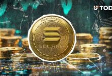 سولانا تتفوق على إيثيريوم في الإيرادات رغم الانهيار السعري