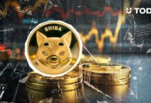تراجع 64,897,407,358 Shiba Inu (SHIB) خلال 24 ساعة يؤكد الاتجاه الصاعد: التفاصيل الكاملة