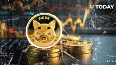 تراجع 64,897,407,358 Shiba Inu (SHIB) خلال 24 ساعة يؤكد الاتجاه الصاعد: التفاصيل الكاملة