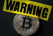 بيتر براندت يحذر مجدداً: "البيتكوين لن يرتفع!" ويتوقع وصوله إلى 200,000 دولار في هذا الموعد الجديد