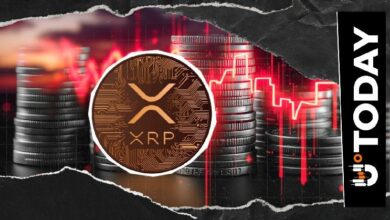 XRP يتخلف عن توقعات أكتوبر الصعودي بهبوط 11%