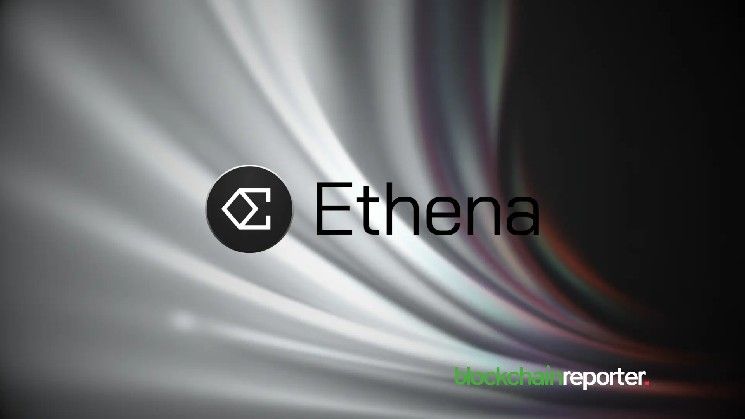 تراكم محافظ "الحيتان" يُعزز الزخم الصعودي لـ $ENA