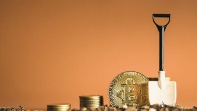 المحلل الهبوطي بيتر شيف يطلق تصريحاً جريئاً في أعقاب انخفاض البيتكوين