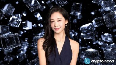 "الحوت الأبيض" يسحب عرضه لاستشارة "MEXC" محذرًا: شيء مريب يُحاك في الخفاء