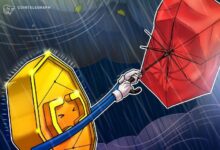 مسؤولون في قطاع العملات الرقمية يتحاورون: ما السبب وراء انخفاض البيتكوين تحت 94 ألف دولار؟