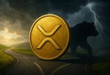 هل يدخل XRP مرحلة سوق هابطة؟ محلل يكشف الحقيقة