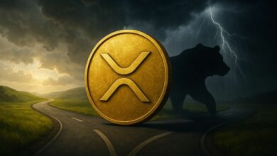 هل يدخل XRP مرحلة سوق هابطة؟ محلل يكشف الحقيقة