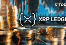 خبير XRPL يوضح حقيقة مثبتة حول عقود XRP Ledger الذكية