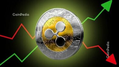 لماذا انخفض سعر XRP؟ السبب الحقيقي وراء التراجع رغم إطلاق صندوق XRP ETF