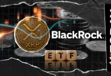 "بول بارون: بلاك روك فاتتها هذه.. انطلاق صندوق XRP ETF يحقق أداءً إيجابياً مبهراً"