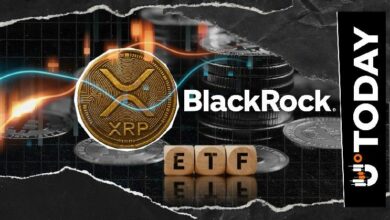 "بول بارون: بلاك روك فاتتها هذه.. انطلاق صندوق XRP ETF يحقق أداءً إيجابياً مبهراً"