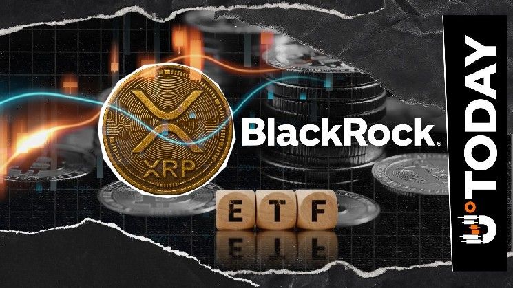 "بول بارون: بلاك روك فاتتها هذه.. انطلاق صندوق XRP ETF يحقق أداءً إيجابياً مبهراً"