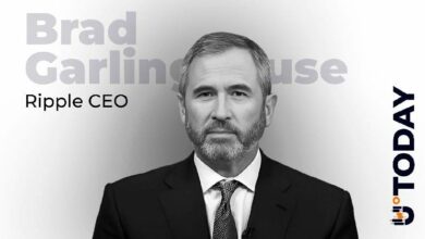 رئيس ريبل: تصريحات تاريخية حول XRP تعود للواجهة مع تصاعد التفاؤل بشأن صناديق الاستثمار