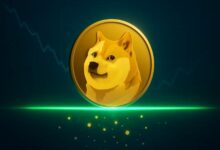 كشف أقوى منطقة دعم للدوجكوين.. هذا هو المستوى الحاسم