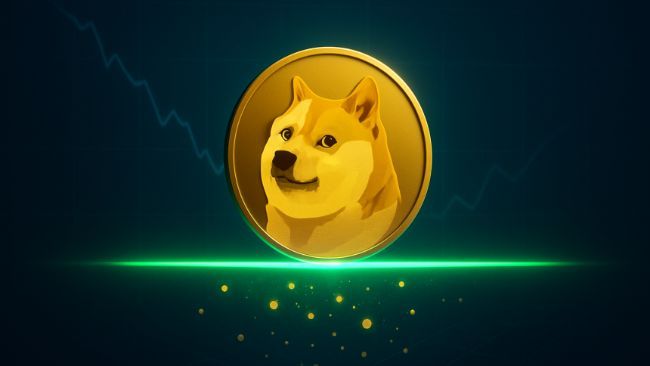 كشف أقوى منطقة دعم للدوجكوين.. هذا هو المستوى الحاسم