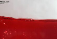 مراقبة سعر البيتكوين: الارتداد من 80 ألف دولار.. قاع أم فخ؟