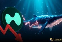 حوت مناهض لـ "سي زد" يفقد 61 مليون دولار من الأرباح في 10 أيام على منصة هايبيرليكيد