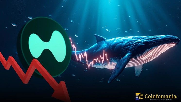 حوت مناهض لـ "سي زد" يفقد 61 مليون دولار من الأرباح في 10 أيام على منصة هايبيرليكيد