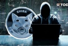 مطور شيباريوم الرئيسي يوجه نداءً للقرصان: "افعل شيئًا صائبًا لاستعادة الأموال"