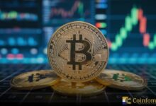 تاجر محترف يشتري بالهامش القصير للبيتكوين بقيمة 34.7 مليون دولار عند 102,709 دولار على Hyperliquid ويواجه خطر تصفية مراكز بقيمة 193 ألف دولار