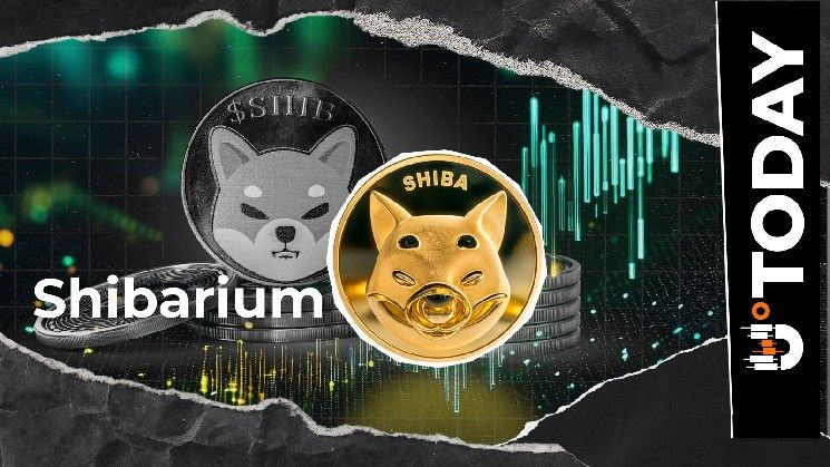 كبير مطوري Shiba Inu يكشف عن ترقية Shibarium المهمة المتوقعة في 2026