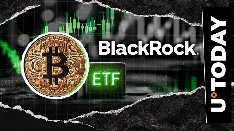 صندوق بلاك روك البيتكوين يتراجع بصافي تدفقات سلبية بعد بيع 570 مليون دولار