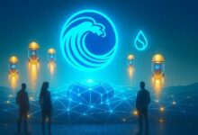 أول منصة إطلاق للذكاء الاصطناعي على شبكة سوي: تمكين المستثمرين الأفراد من الاستثمار مثل صناديق رأس المال الجريء