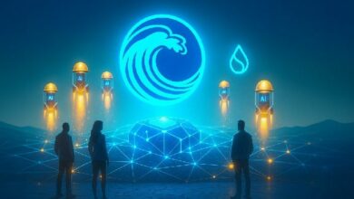 أول منصة إطلاق للذكاء الاصطناعي على شبكة سوي: تمكين المستثمرين الأفراد من الاستثمار مثل صناديق رأس المال الجريء