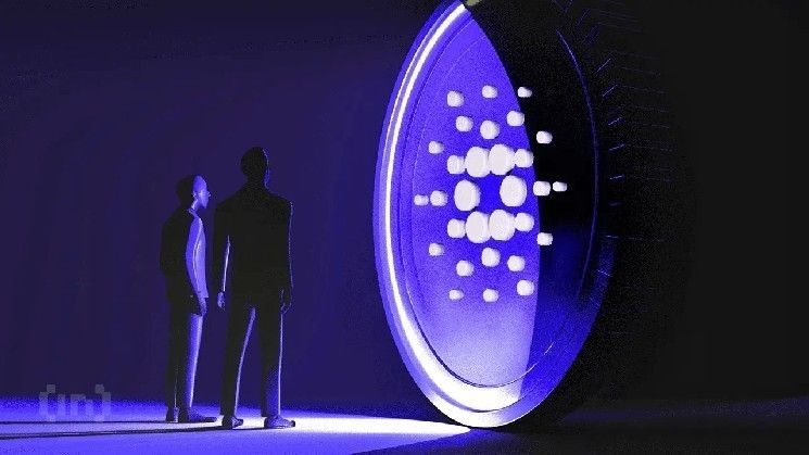 انتعاش سريع لكاردانو من انقسام السلسلة بسبب الذكاء الاصطناعي