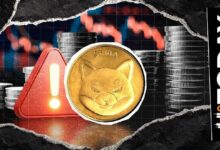 فريق شيبا إنو يحذر من احتيال في منشور شريك حديث