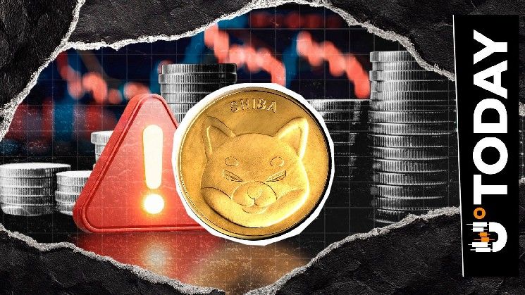 فريق شيبا إنو يحذر من احتيال في منشور شريك حديث