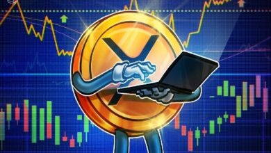 عملة XRP "هيكلياً هشة" مع خسارة 41.5% من المعروض