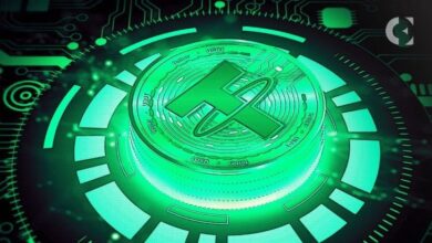 ارتفاع تحويلات المغتربين الهنود عبر العملات الرقمية مع بلوغ علاوة USDT 4-5%