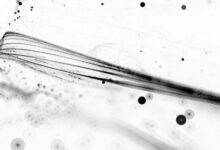 "إيموتابل" تتعاون مع "أولوايز جيكي جيمز" لإطلاق ألعاب ويب 3 الجديدة