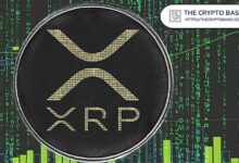 لماذا لم يرتفع سعر XRP رغم تدفق 245 مليون دولار على الصندوق ETF الكناري؟
