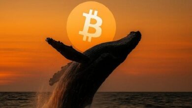 تسجل البيتكوين ثاني أكبر عملية تراكم للحيتان أسبوعياً في 2025