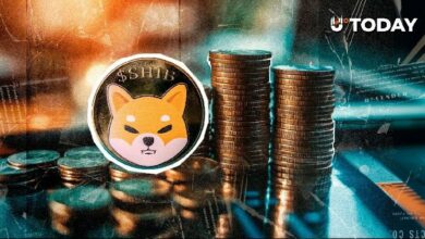 مجتمع SHIB يتطلع لتحديات حاسمة في ديسمبر: هذه مواعيدها الرئيسية