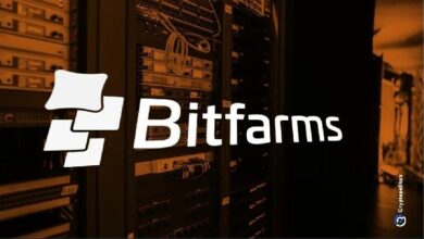إيرادات BitFalls تخفق في توقعات المحللين بنسبة 16.7% مع تراجع نتائج الربع الثالث