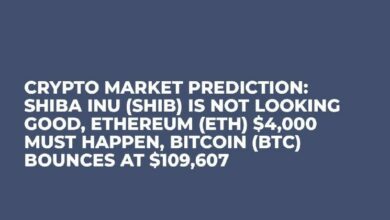 توقعات سوق العملات الرقمية: شيبا إينو (SHIB) في وضع صعب، إيثيريوم (ETH) يجب أن يصل إلى 4000 دولار، بيتكوين (BTC) يرتد عند 109,607 دولار